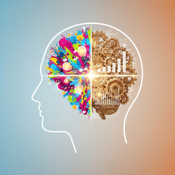 Kuvitteellinen pää, jossa toinen puoli on luova ja toinen analyyttinen, havainnollistaen mielikuvituksen ja realismin yhdistämistä.